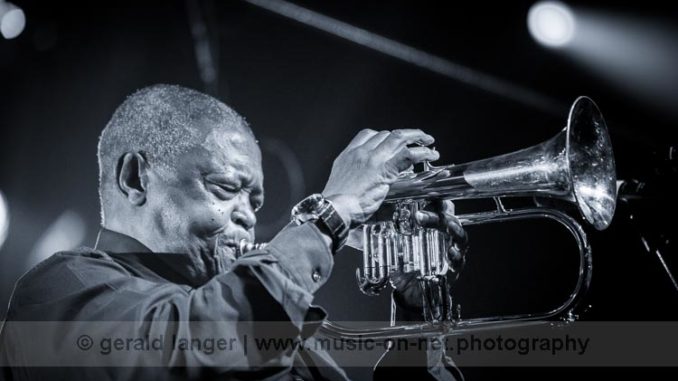 20160526-20160526 - Hugh Masekela - Africa Festival Wuerzburg © Gerald Langer -30 -6J6A9603--2386 Hugh Masekela - Africa Festival Würzburg 2016 © Gerald Langer