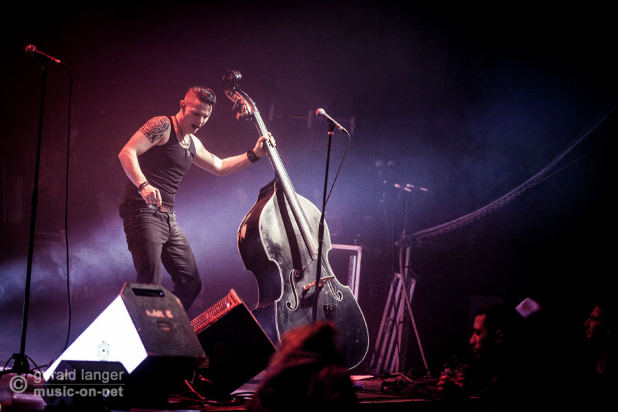 Django 3000 am 11. Februar 2015 in der Würzburger Posthalle @ Gerald Langer