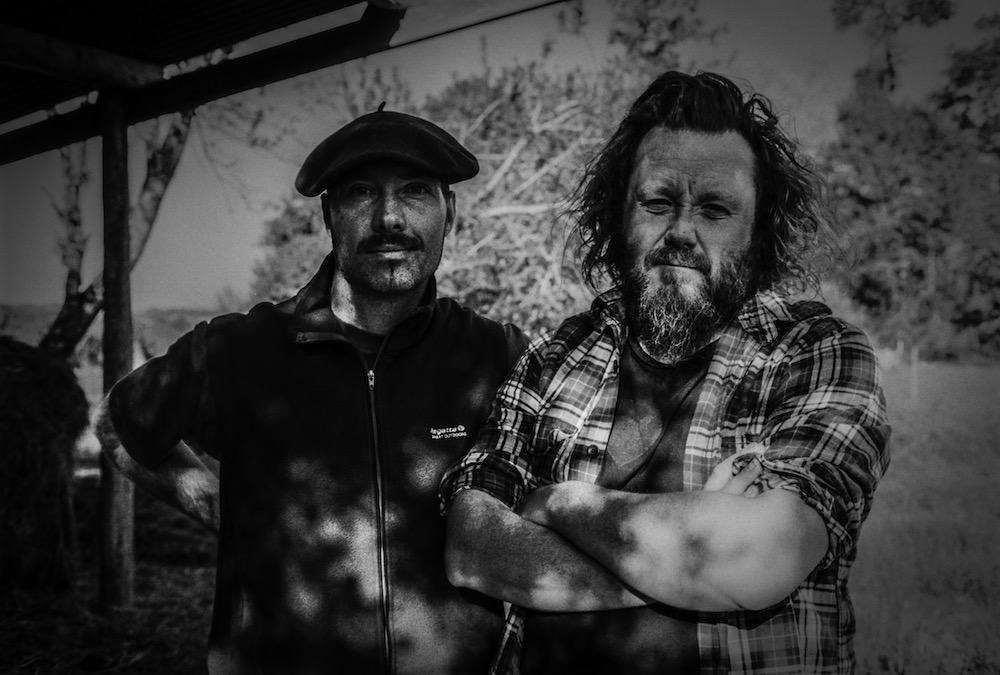 TIC press 2018 Kopie - music-on-net.de