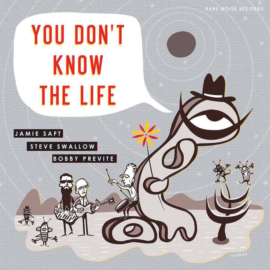 SAFT SWALLOW PREVITE - YOU DON'T KNOW THE LIFE - ALBUM - COVER - 2019 - WEB