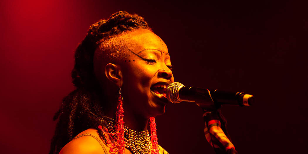 Acoustic Africa: Africa Festival Würzburg 2013