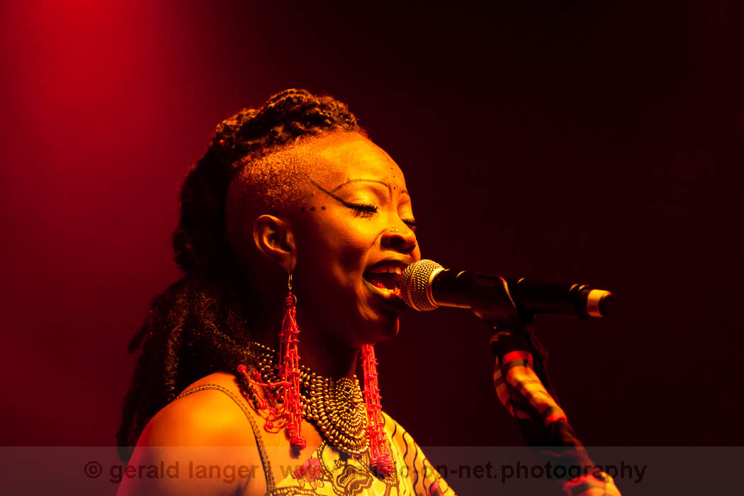 Acoustic Africa: Africa Festival Würzburg 2013 (Photos)