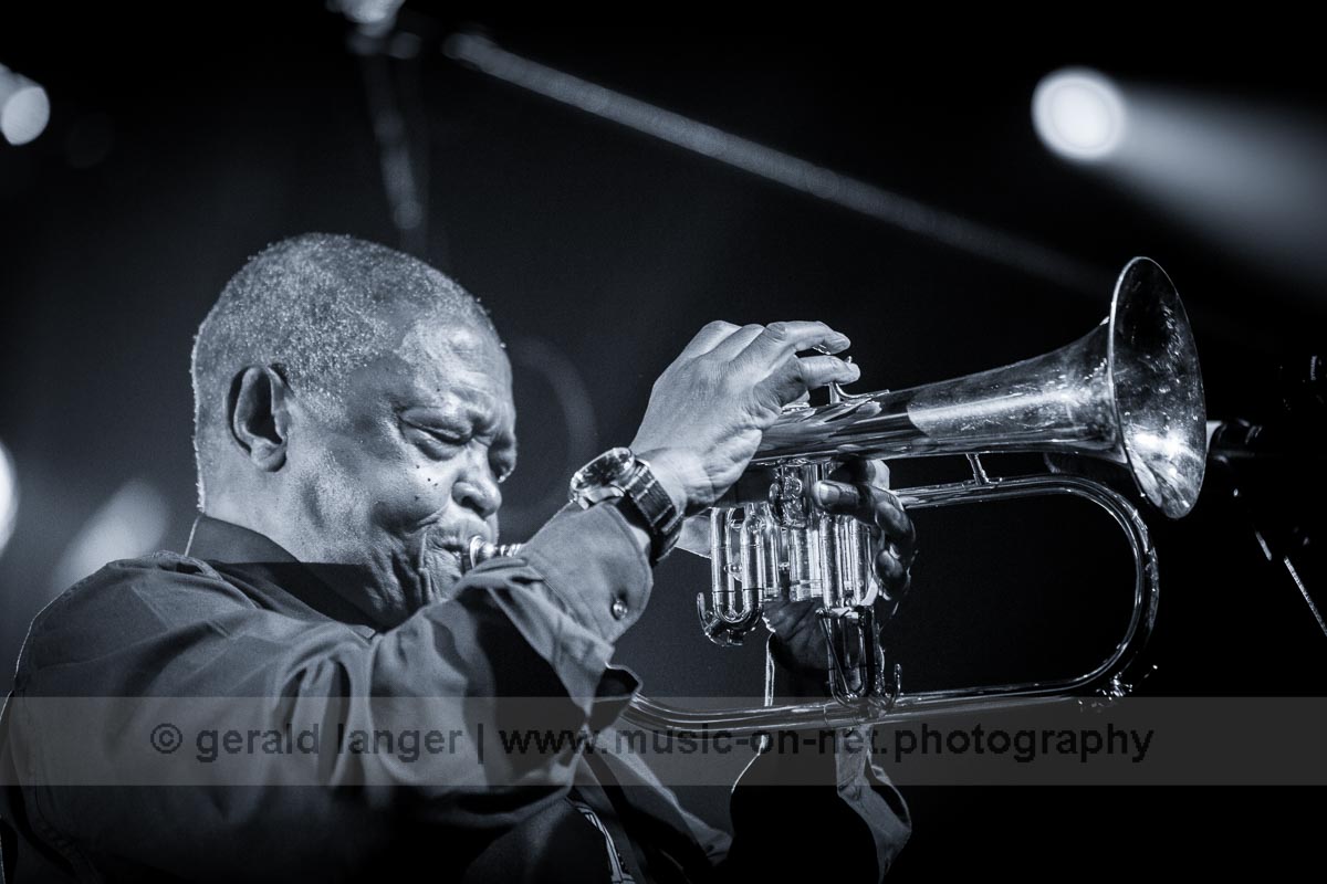 20160526 20160526 Hugh Masekela Africa Festival Wuerzburg © Gerald Langer 30 6J6A9603 2386 1