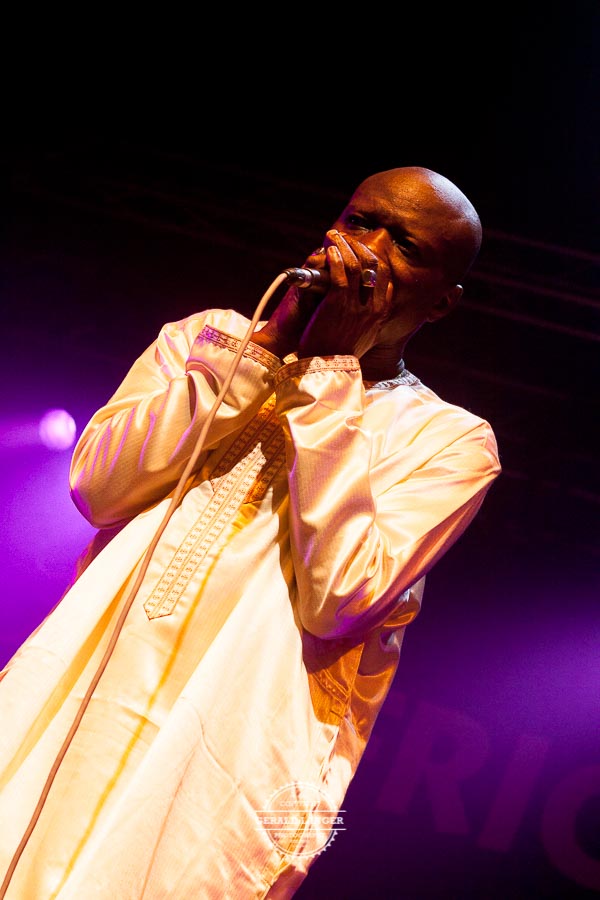 Omar Pene Africa Festival Wuerzburg 2012 © Gerald Langer 27