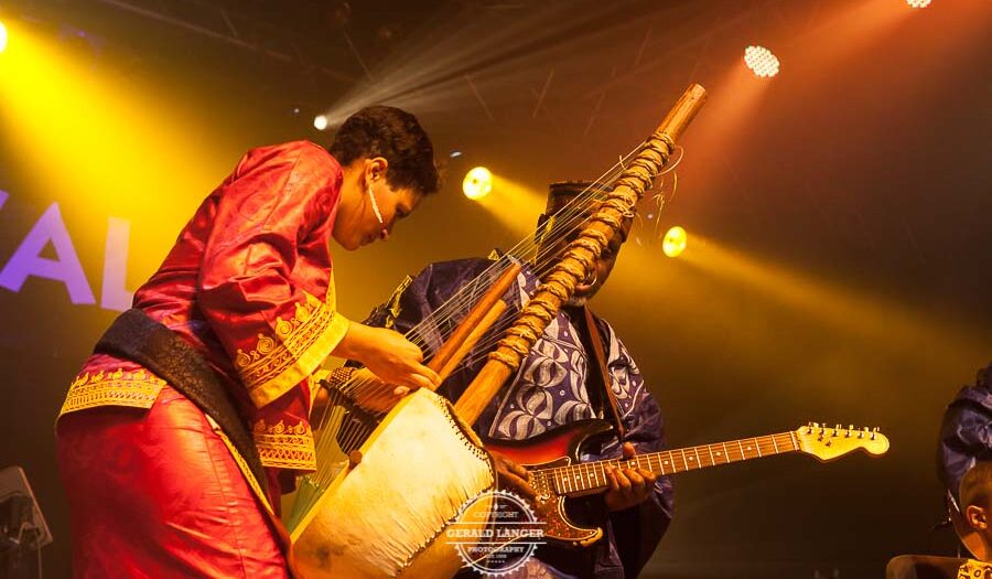 Sona Jobarteh: Africa Festival Würzburg 2012