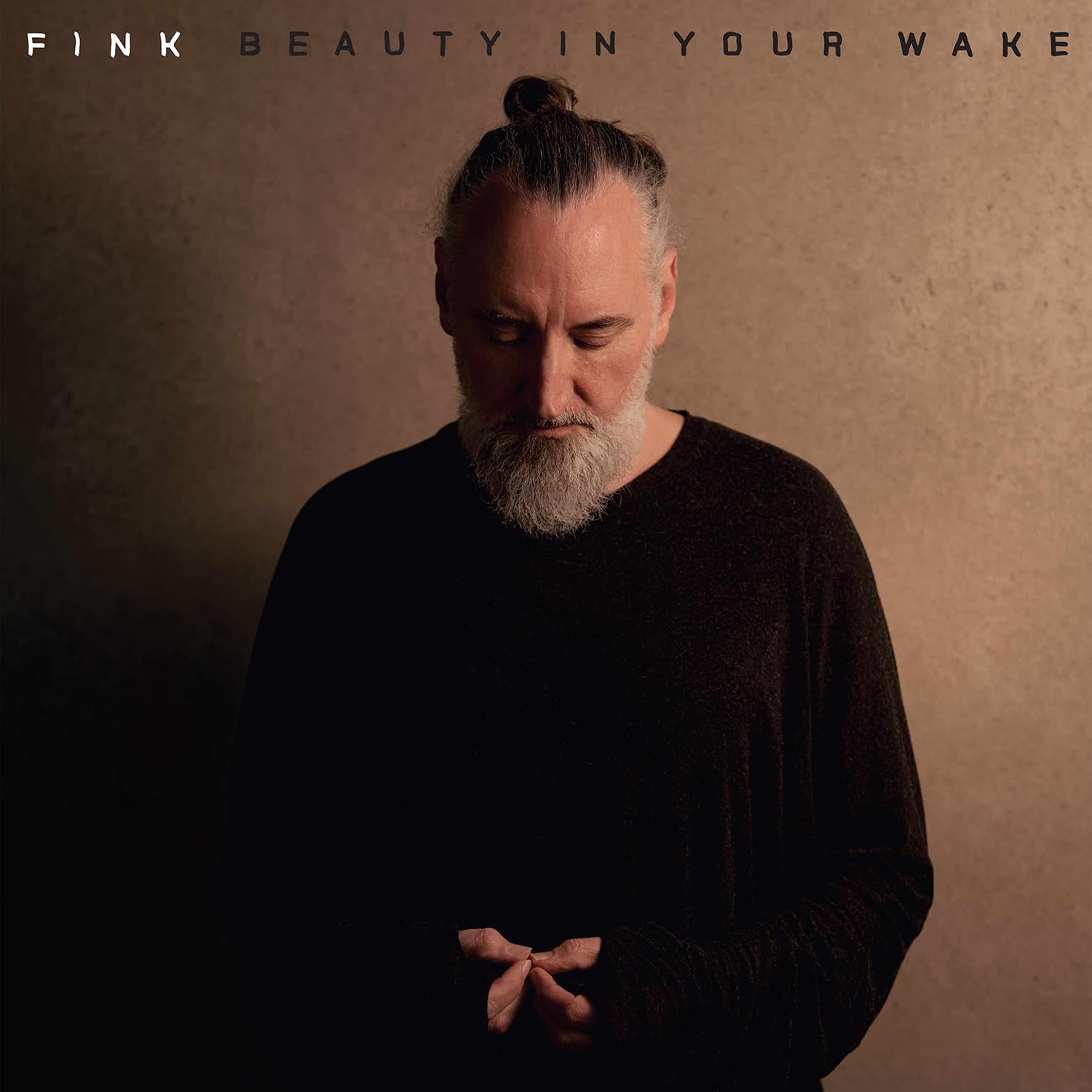 © Fink Beauty In Your Wake Albumcover